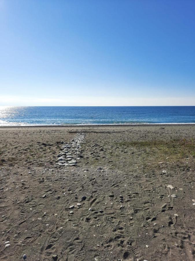 Гостевой Дом La Mer Pizunda Bagian luar foto